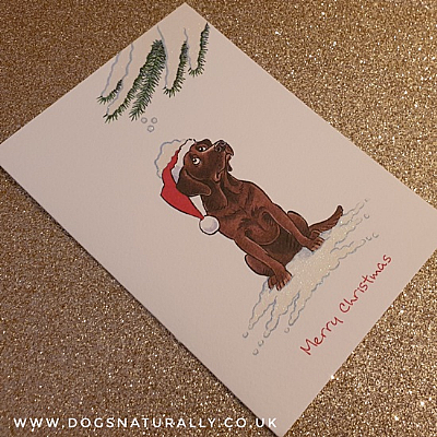 Labrador Chocolate Christmas Card (Flitter Range)
